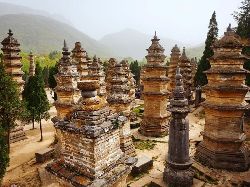 Лоян, Лес Пагод 